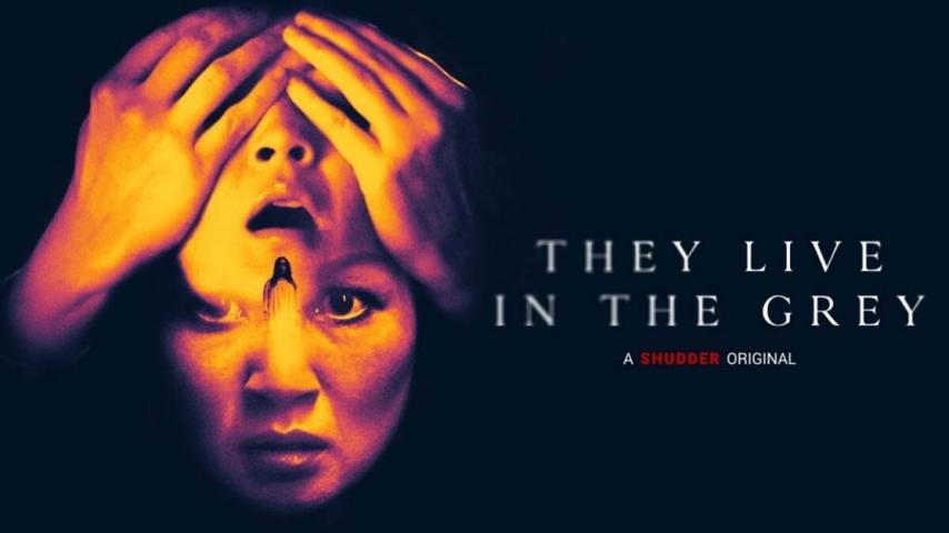 مشاهدة فيلم They Live in the Grey 2022 مترجم HD اون لاين