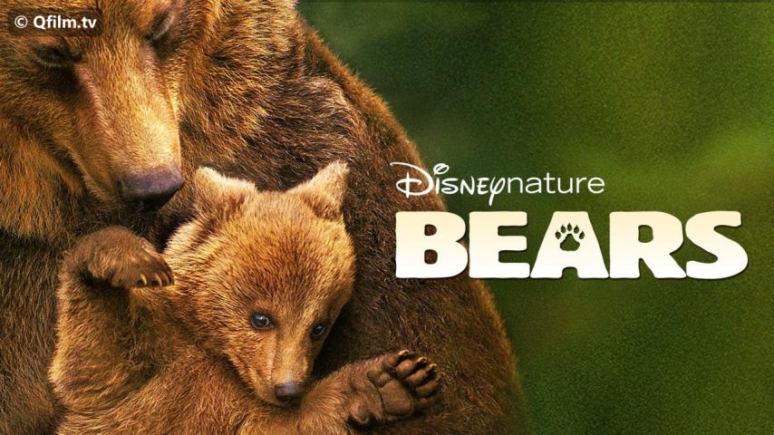 مشاهدة فيلم Bears 2014 مترجم HD اون لاين