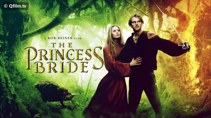 مشاهدة فيلم The Princess Bride 1987 مترجم HD اون لاين