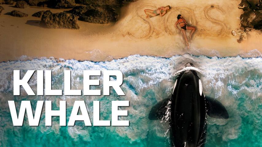 مشاهدة فيلم Killer Whale 2026 مترجم HD اون لاين