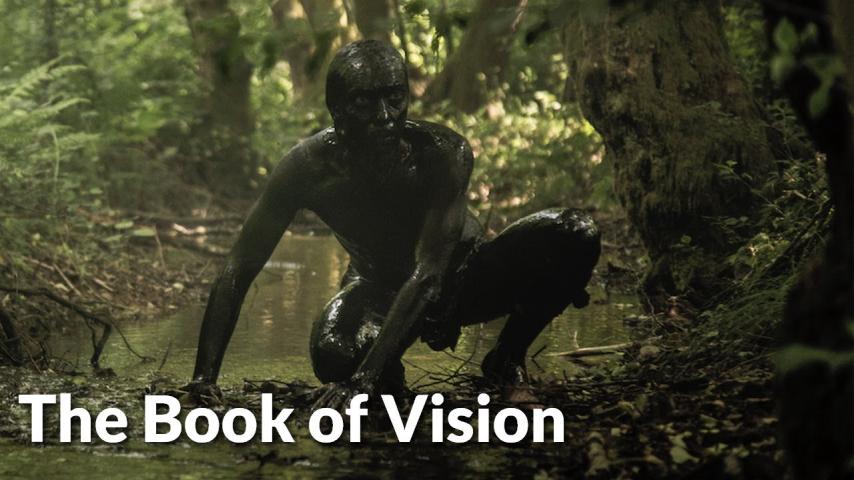 مشاهدة فيلم The Book of Vision 2020 مترجم HD اون لاين