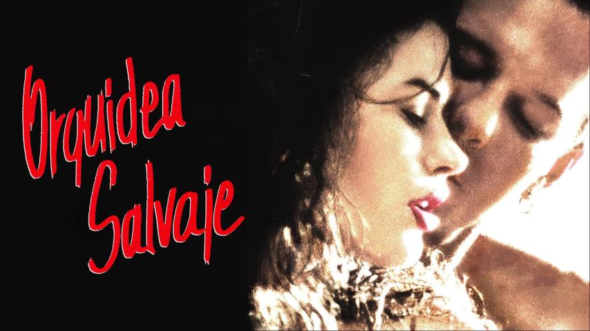 مشاهدة فيلم Wild Orchid 1989 مترجم HD اون لاين