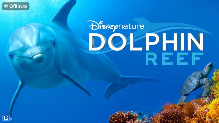 مشاهدة فيلم Dolphin Reef 2020 مترجم HD اون لاين