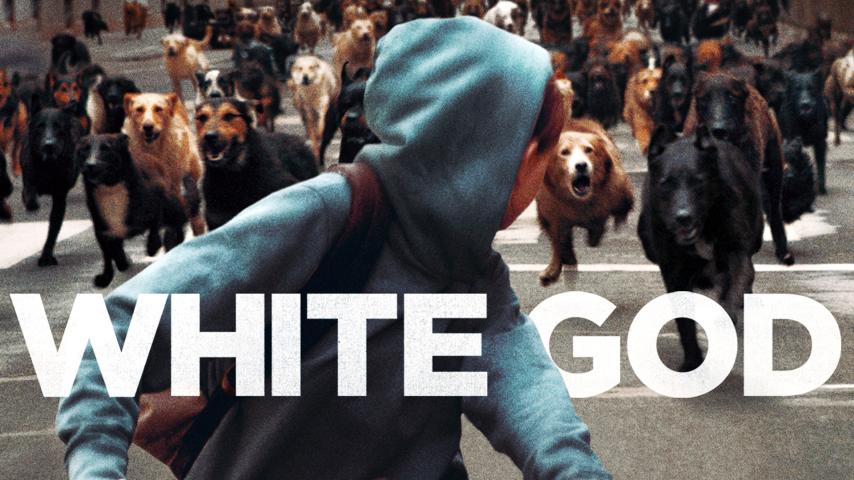 مشاهدة فيلم White God 2014 مترجم HD اون لاين