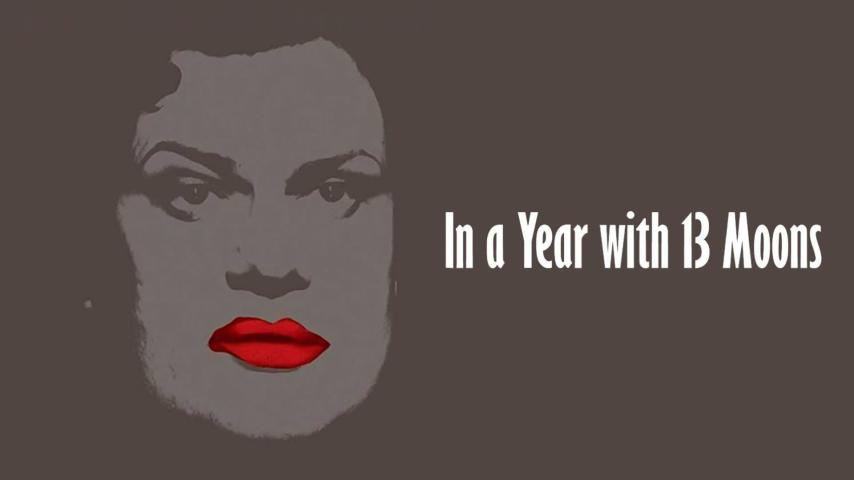 مشاهدة فيلم In a Year with 13 Moons 1978 مترجم HD اون لاين