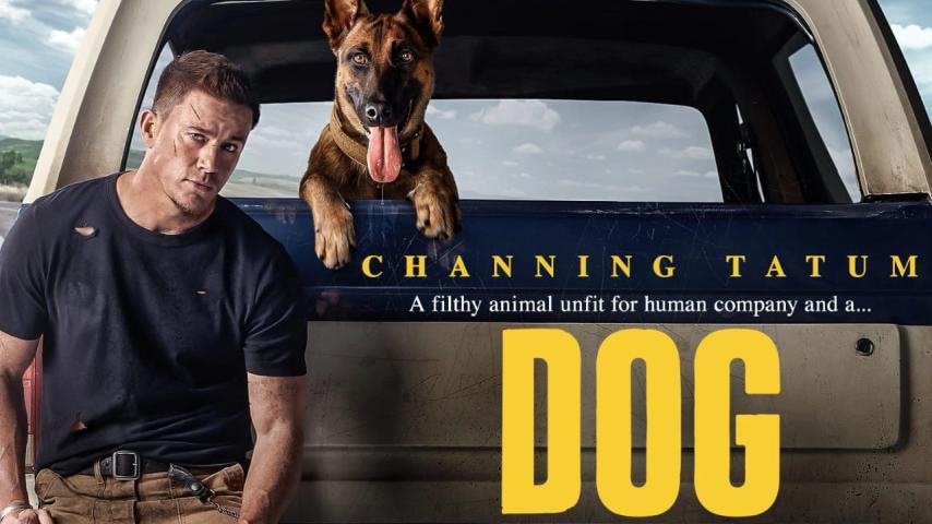 مشاهدة فيلم Dog 2022 مترجم HD اون لاين