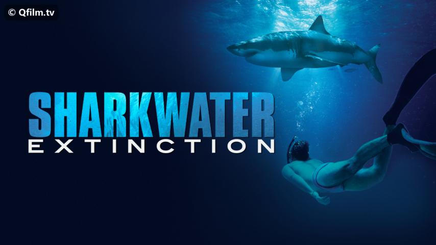 مشاهدة فيلم Sharkwater Extinction 2018 مترجم HD اون لاين