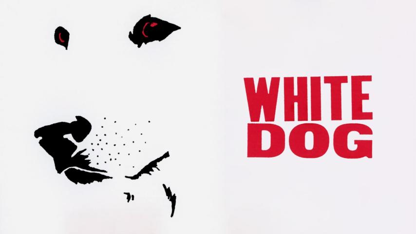 مشاهدة فيلم White Dog 1982 مترجم HD اون لاين