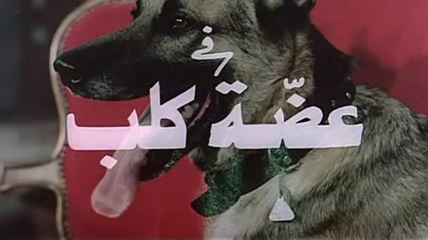 مشاهدة فيلم عضة كلب (1983) HD اون لاين
