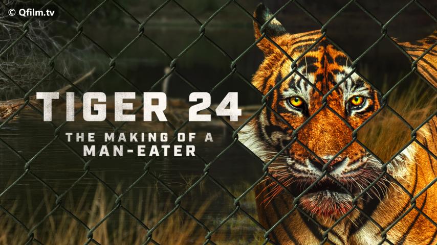 مشاهدة فيلم Tiger 24 2022 مترجم HD اون لاين