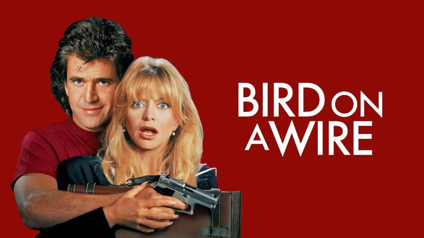 مشاهدة فيلم Bird on a Wire 1990 مترجم HD اون لاين