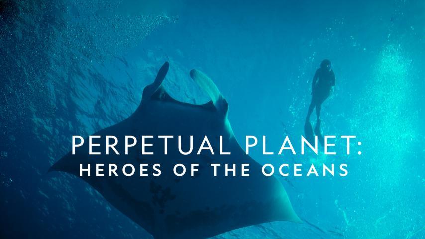 مشاهدة فيلم Perpetual Planet: Heroes of the Oceans 2021 مترجم HD اون لاين
