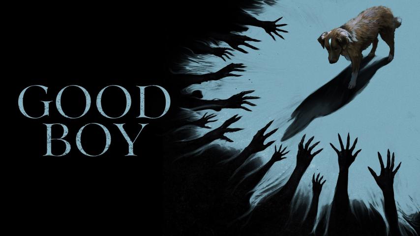 مشاهدة فيلم Good Boy 2025 مترجم HD اون لاين