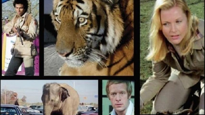 مشاهدة فيلم The Beasts Are on the Streets 1978 مترجم HD اون لاين